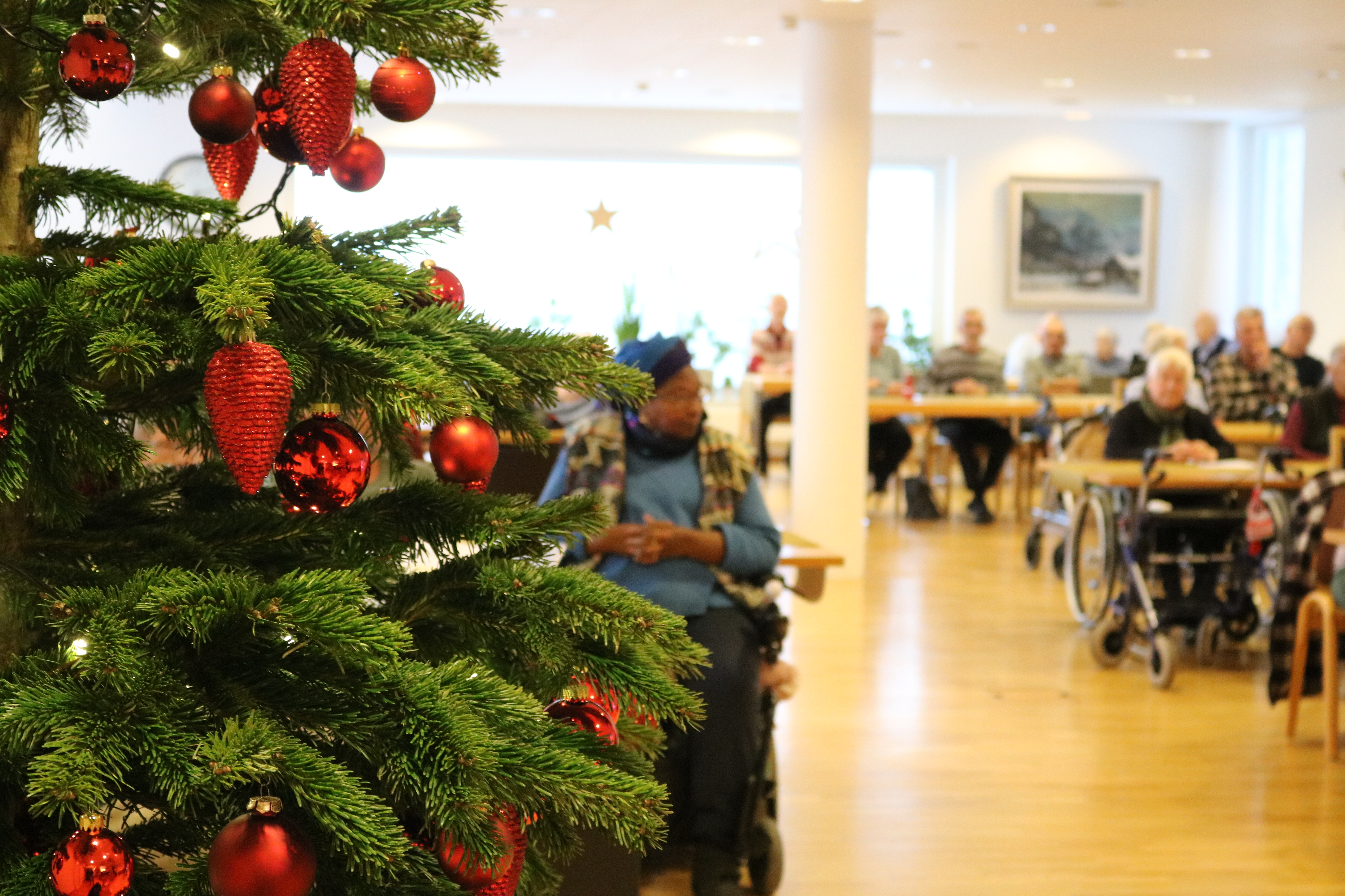 Weihnachten.JPG Weihnachten