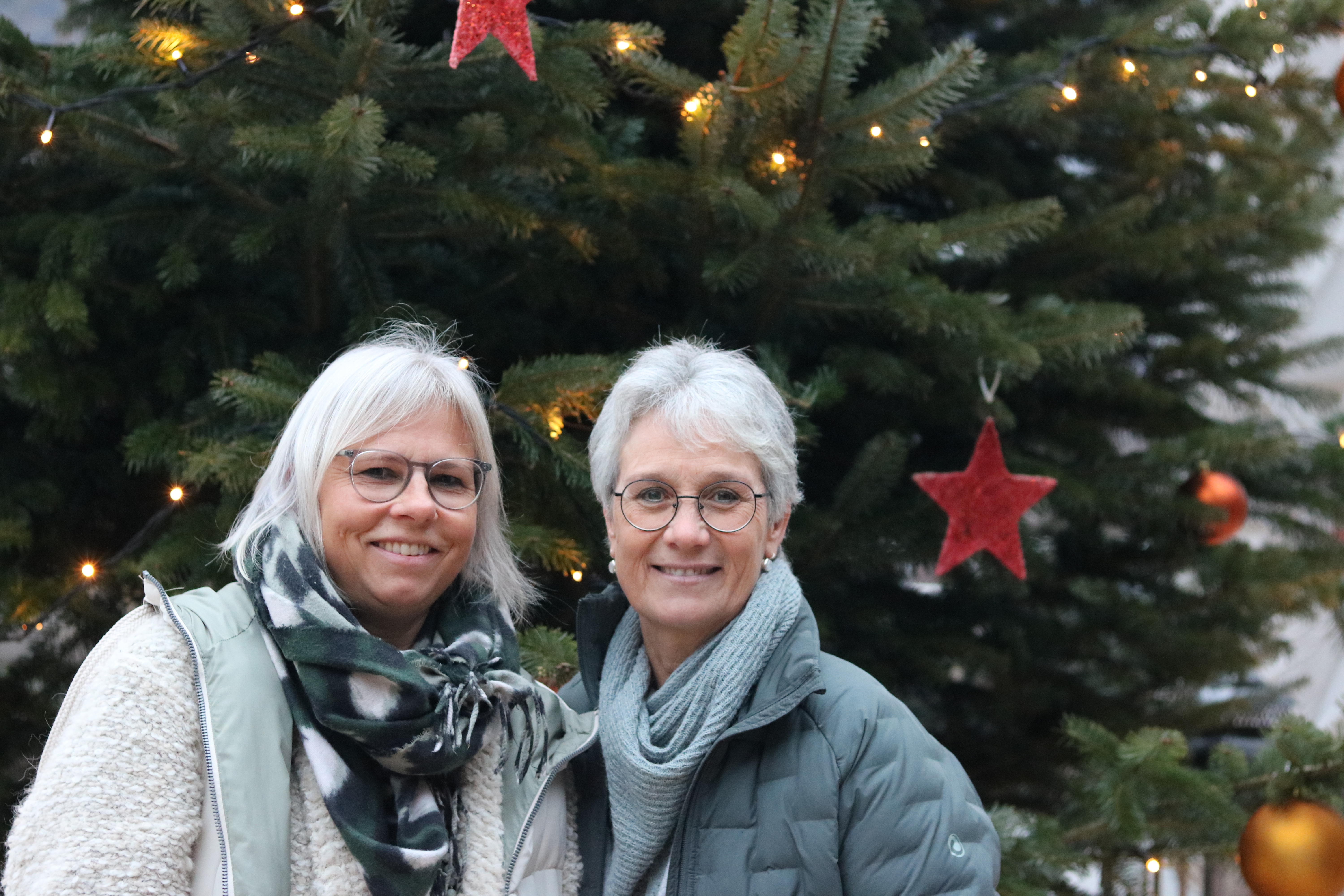 Adventsapro.JPG Adventsapro