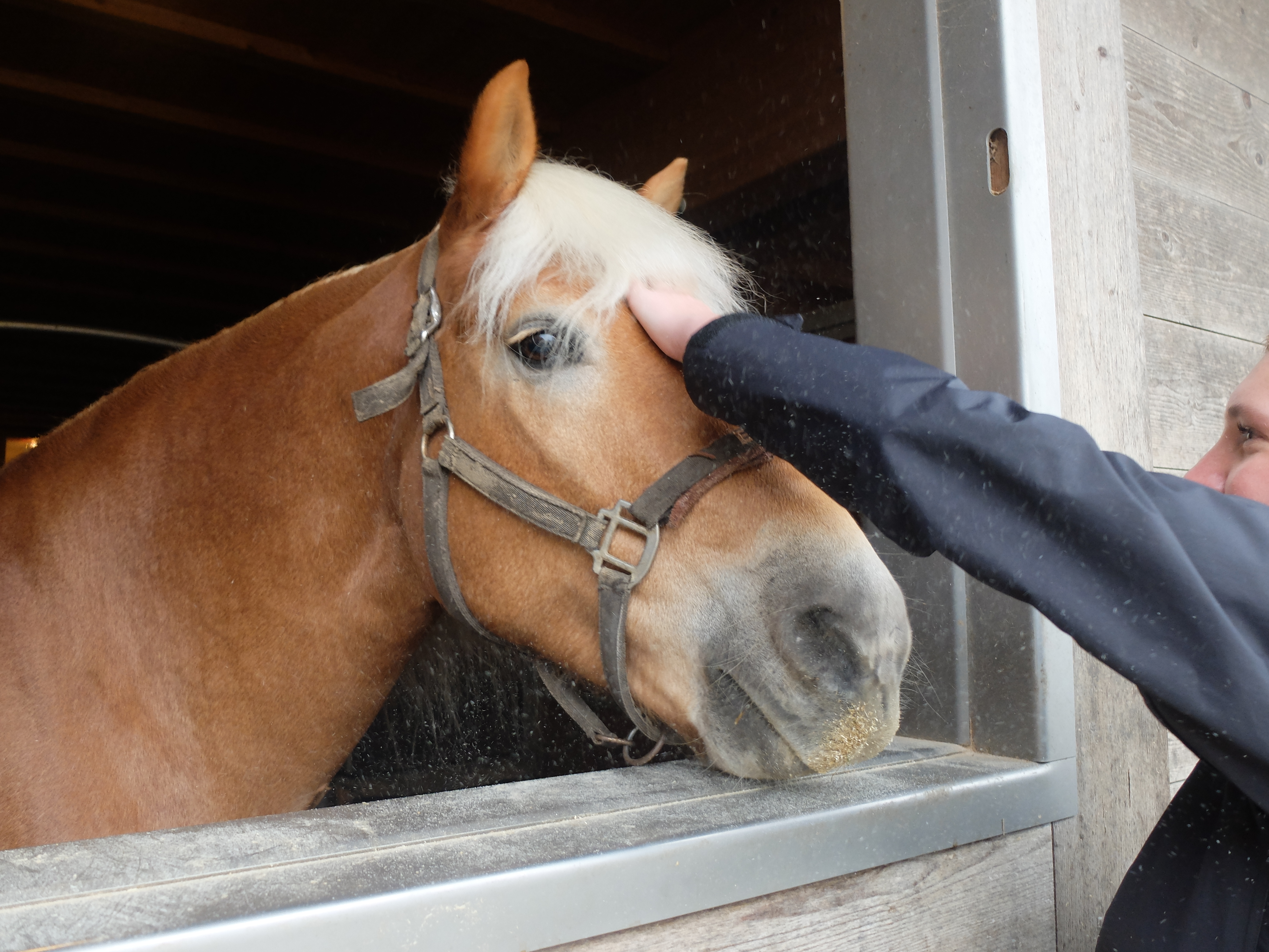 Lernendenausflug.JPG Lernendenausflug