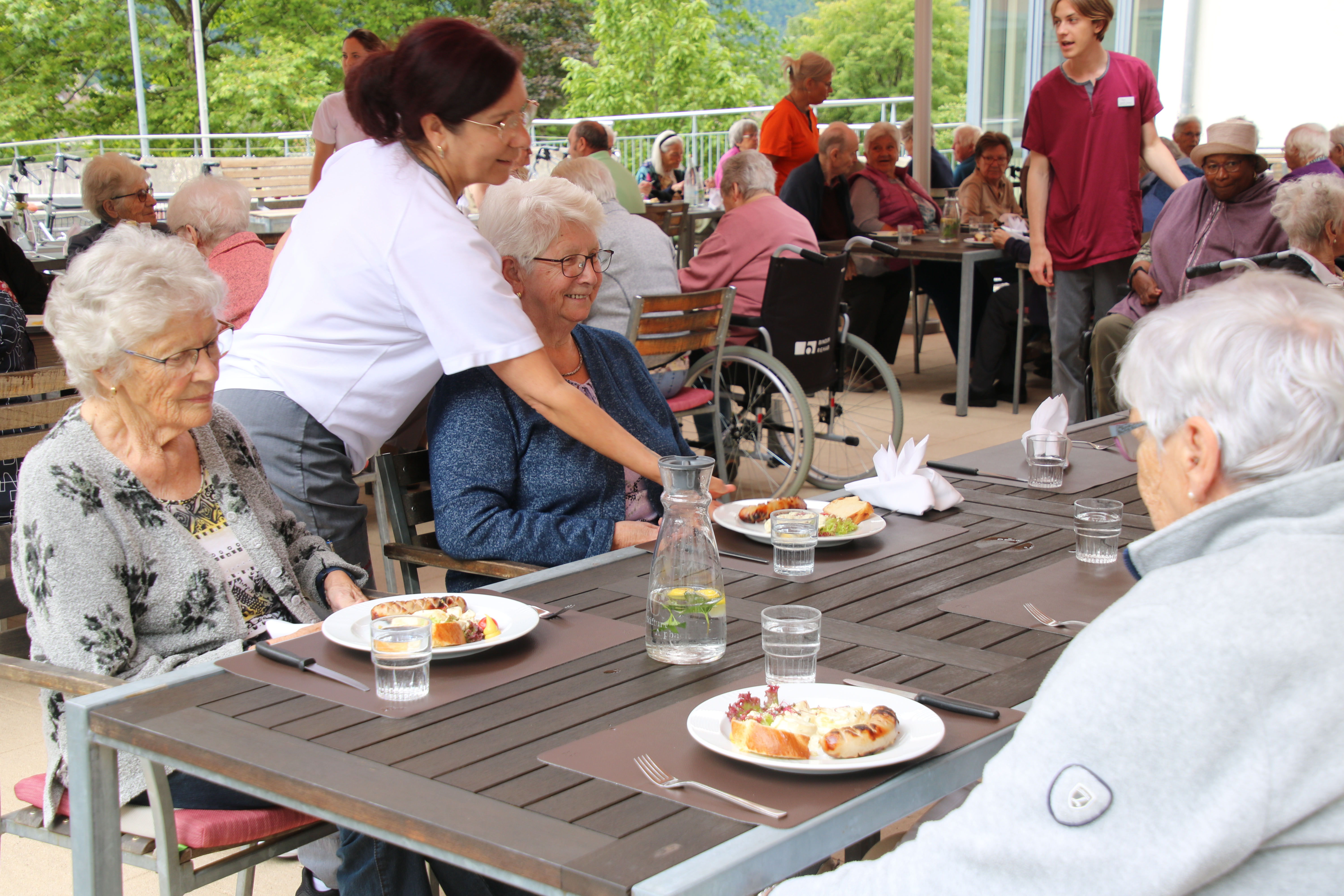 Sommergrillen.JPG Sommergrillen