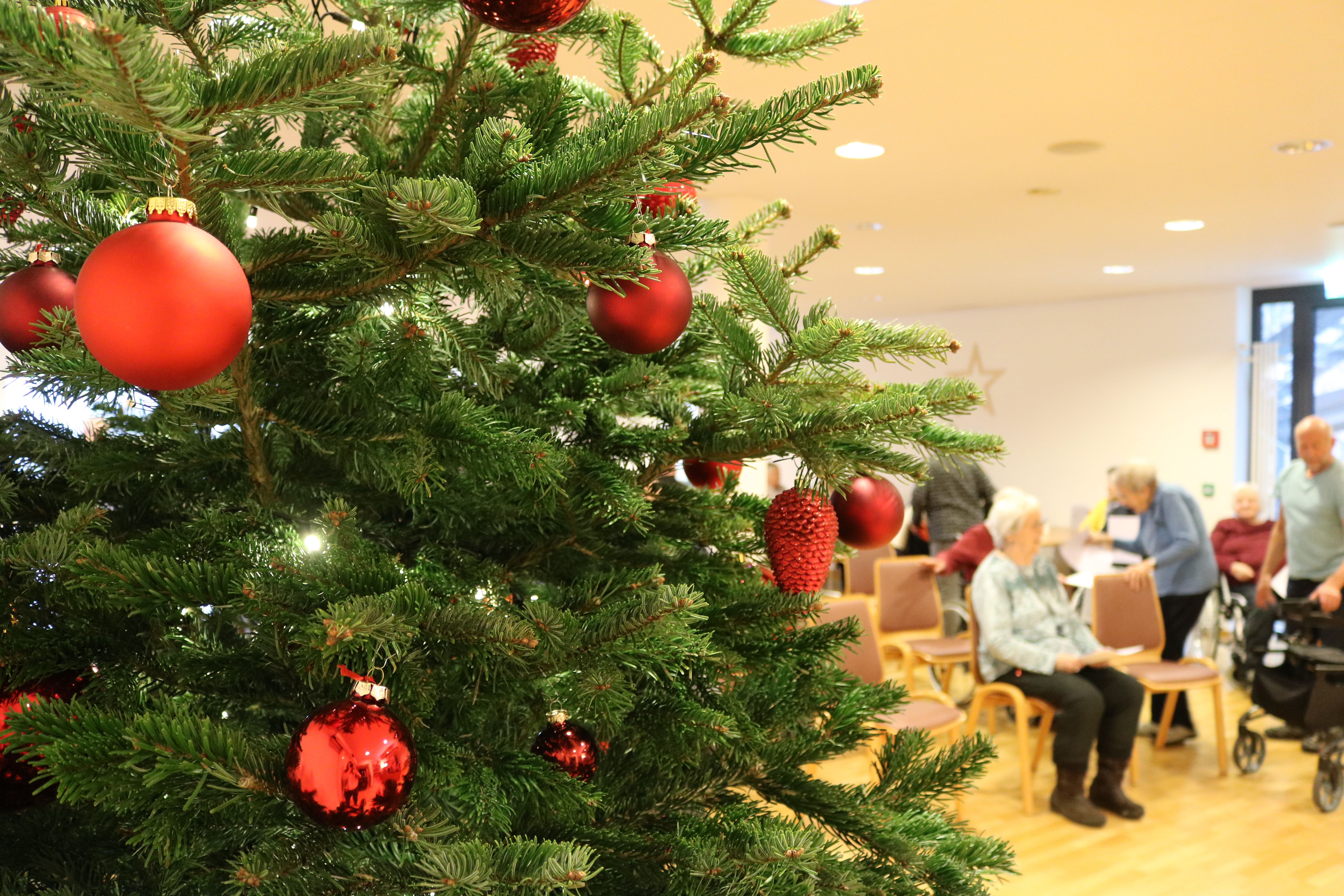 Weihnachten.JPG Weihnachten